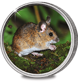 Woodmouse